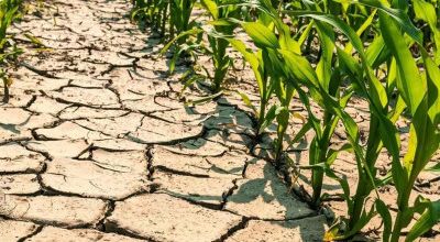 Declaratoria dello stato di emergenza per la calamità Siccità 2022 - Apert...