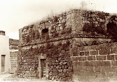 SCAVI ARCHEOLOGICI ALLA TORRE DEL FORTINO