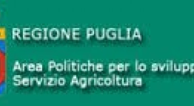 XYLELLA FASTIDIOSA: RELAZIONE COMMISSARIALE E PIANO DEGLI INTERVENTI