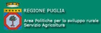 XYLELLA FASTIDIOSA: RELAZIONE COMMISSARIALE E PIANO DEGLI INTERVENTI