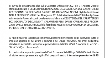 XYLELLA FASTIDIOSA - Decreto di declaratoria danni causati da organismi nociv...